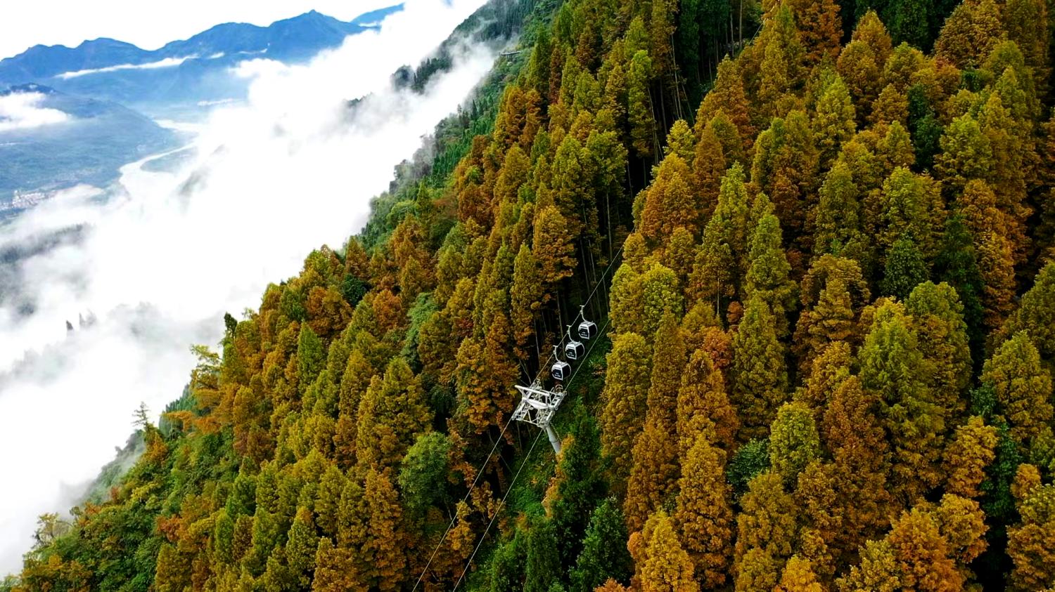太陽灣脈動(dòng)索道 長度：802米，高差：503.5米,運(yùn)量420人小時(shí) 速度6.0米秒(1).jpg